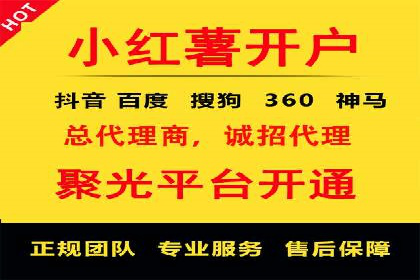 SEM代理服务：案例对比，效果哪家更胜一筹